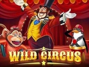 Wild Circus icon